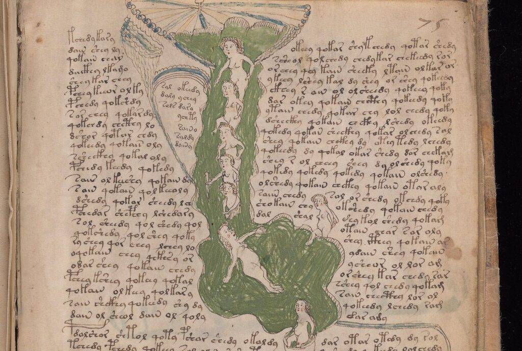 voynich manuscript pdf high resolution