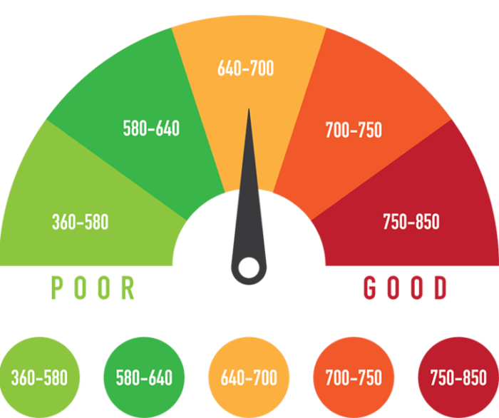 What Credit Score do You Need to Finance a Pool 2024 Guide