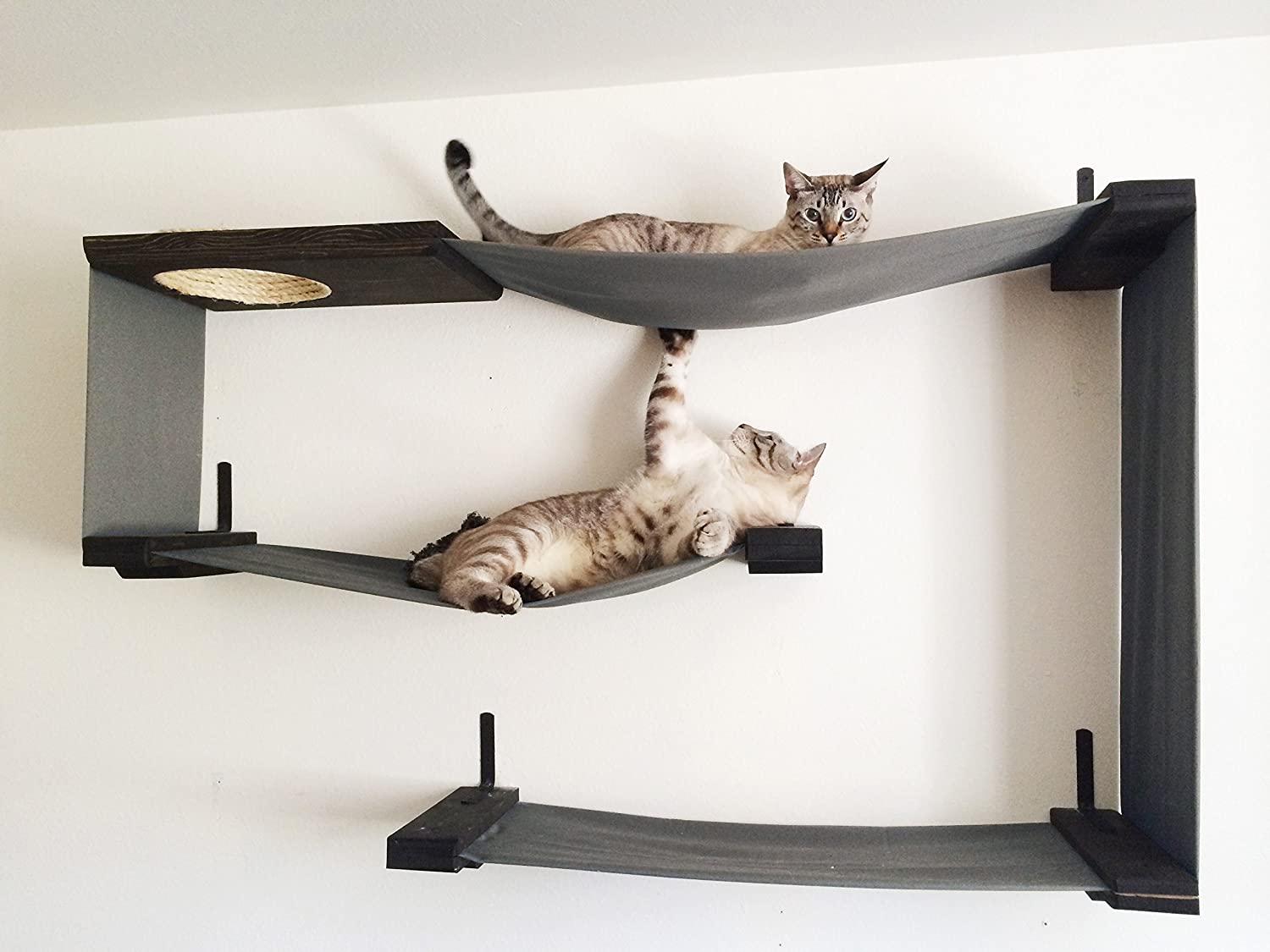 8 Stylish Cat Shelves to Treat Your Feline Friend Like Royalty 2024 Guide