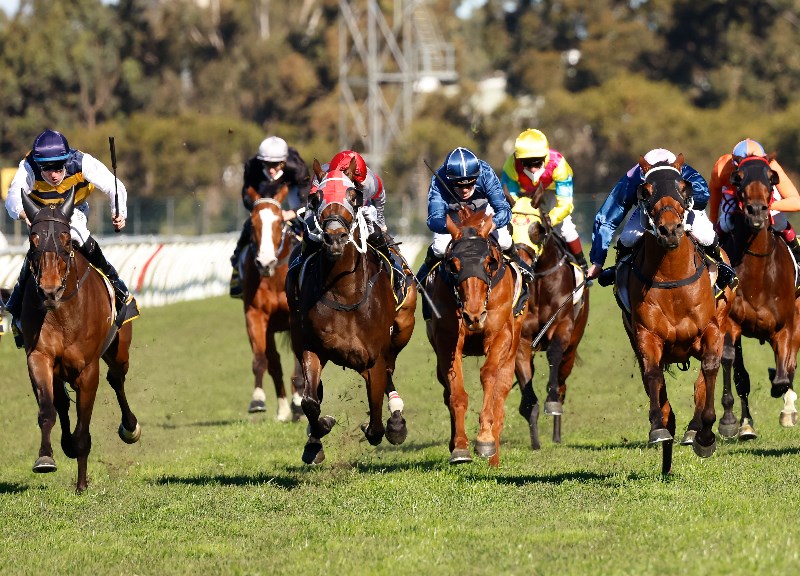 Rosehill Races Calendar - Dolly Meredith