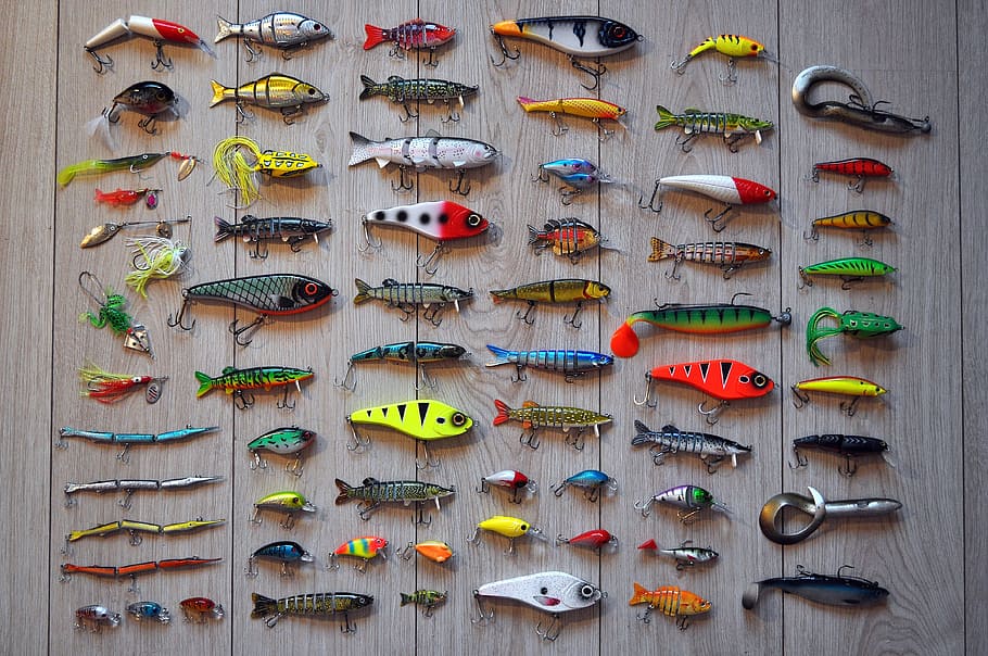 5 Different Types Of Fishing Lures And Tips For Choosing The Right One   Fishing Lures 