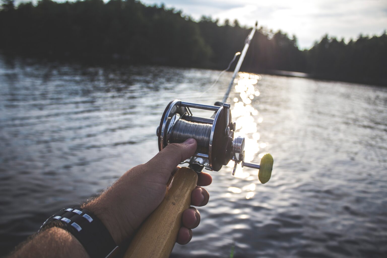 Carp Fishing Tips and Techniques