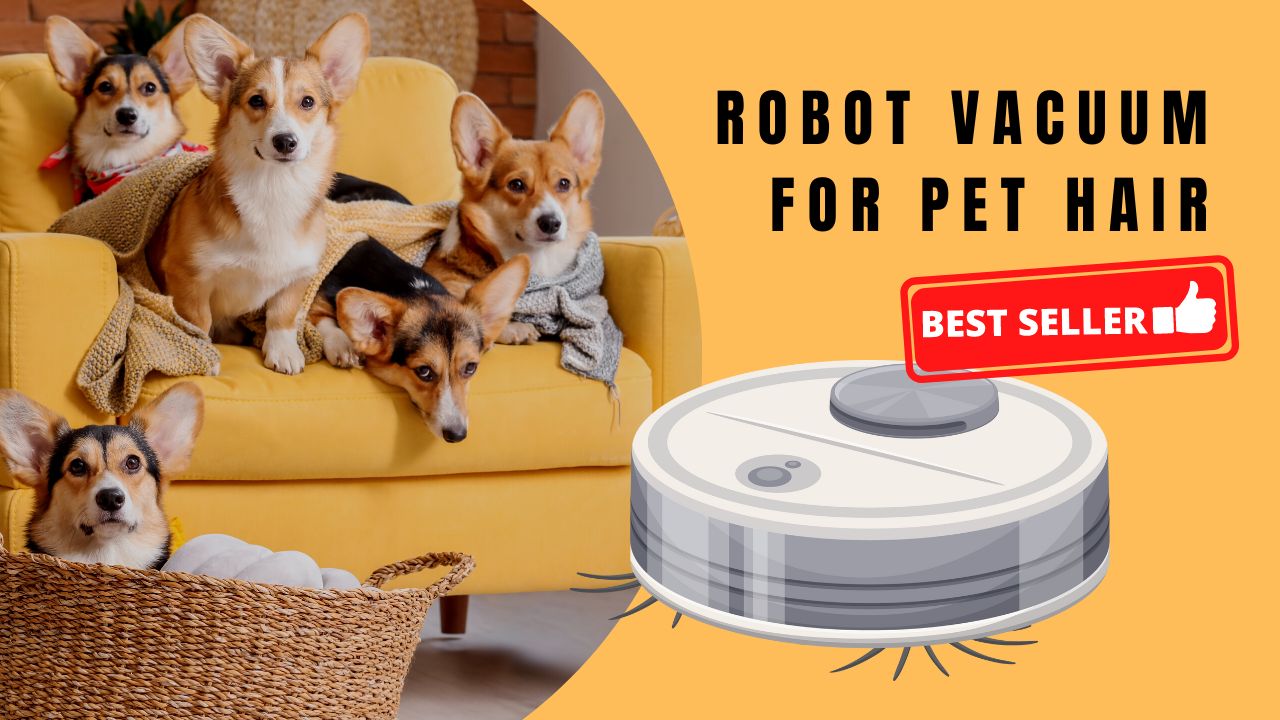 4 Best Robot Vacuum And Mop For Pet Hair 2024 Clean Your House