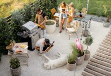 The Perfect Backyard Party - How to Say Goodbye to Mosquitoes