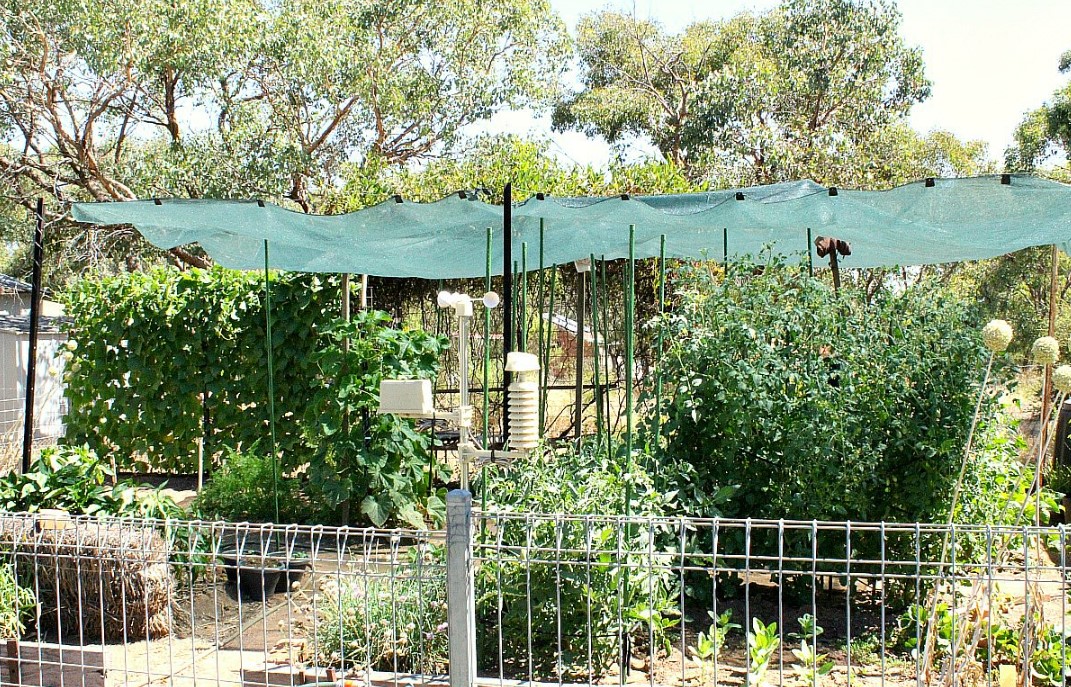 Best Color Shade Cloth for Vegetable Garden ─ Tips for Optimal Plant Growth