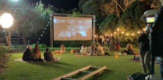 Keeping Your Home Pest-Free While Enjoying Outdoor Movie Nights