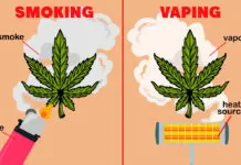 Vaporizing vs. Smoking