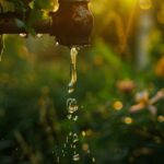 dripping water
