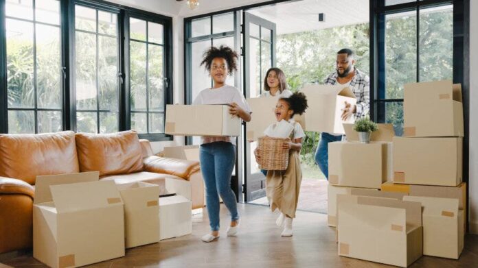 planing your removal