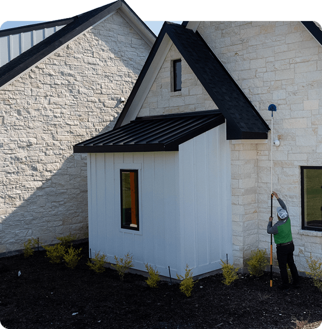 Pest Removal Services