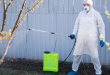 Tick and Flea Infestation