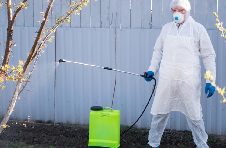 Tick and Flea Infestation