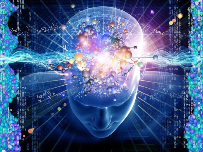 Quantum Observation