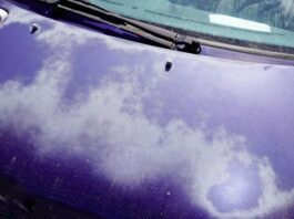 How To Bring Faded Paint Back To Life