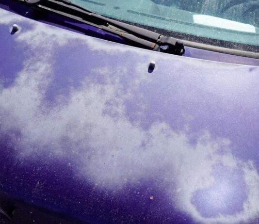 How To Bring Faded Paint Back To Life