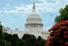 Margarita Howard’s Role in HX5’s Rise Inside the Government Contract Sector