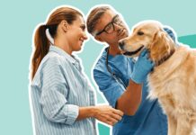 Strategies to Successfully Sell My Veterinary Practice