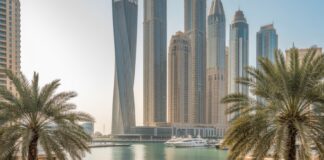 dubai marina landscaping companies