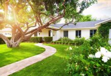 Lawn Fixes That Boost Curb Appeal