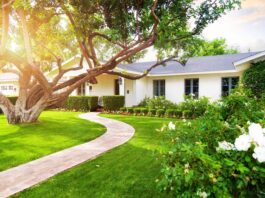 Lawn Fixes That Boost Curb Appeal