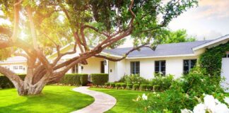 Lawn Fixes That Boost Curb Appeal