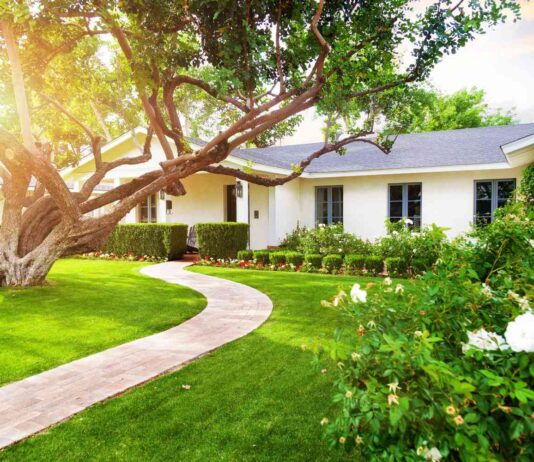 Lawn Fixes That Boost Curb Appeal