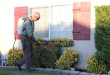 DIY Pest Control vs City of Houston Pest Control: Which Method Yields Better Results?