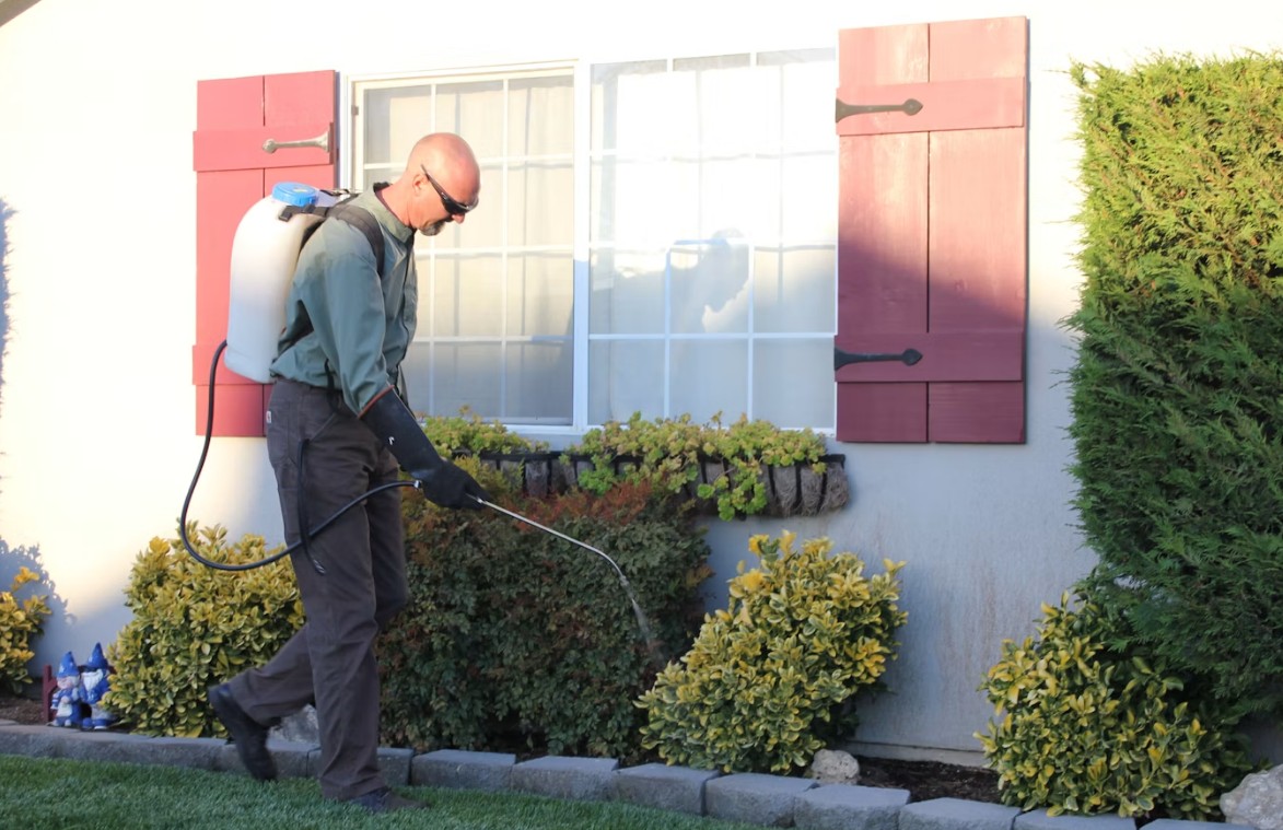 DIY Pest Control vs City of Houston Pest Control