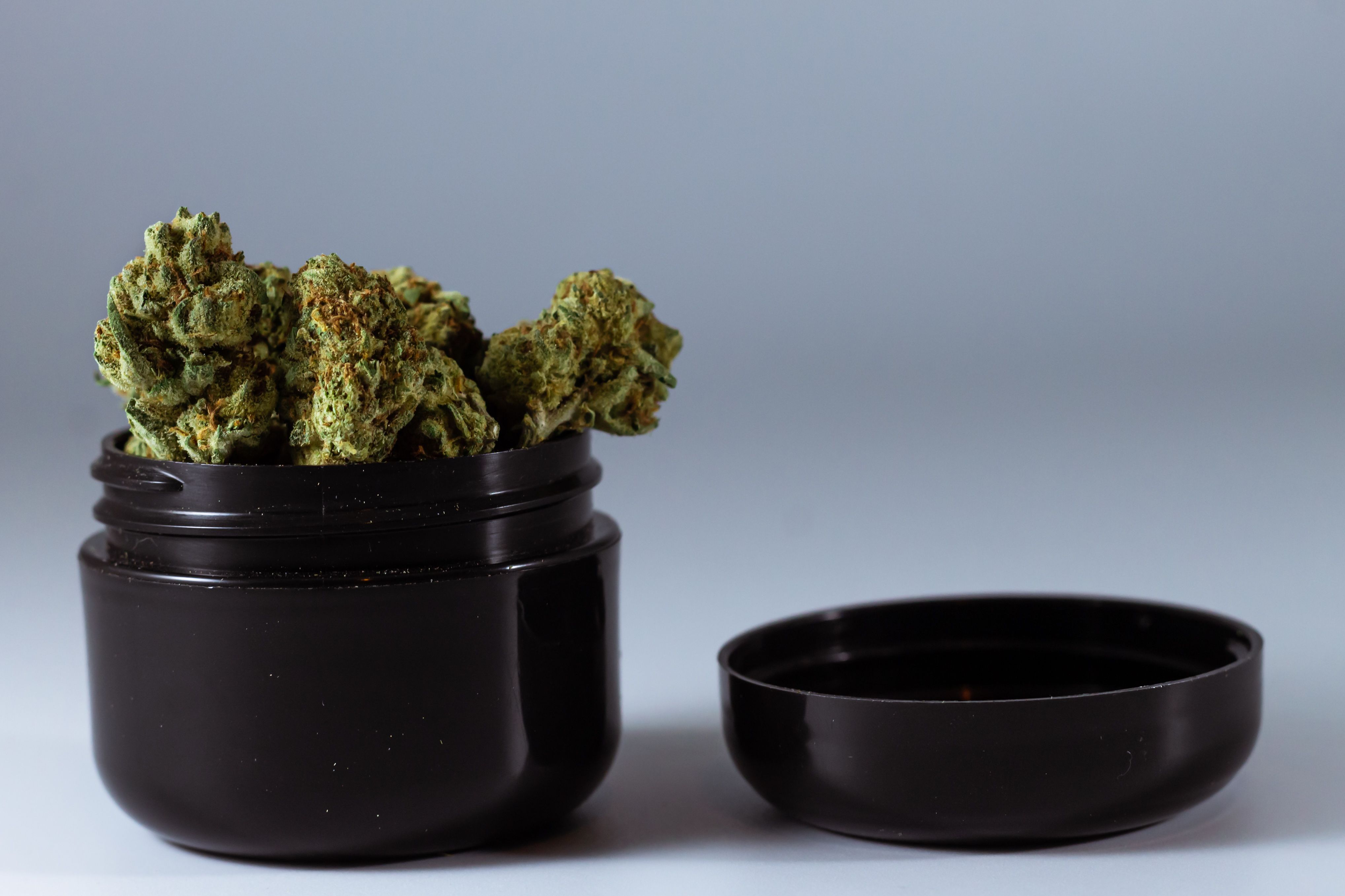 Close-up of cannabis buds stored in a black child-resistant container with the lid removed